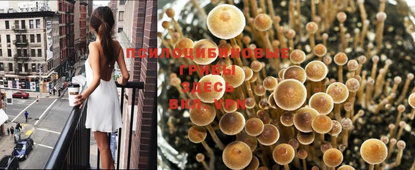 кокаин Балабаново