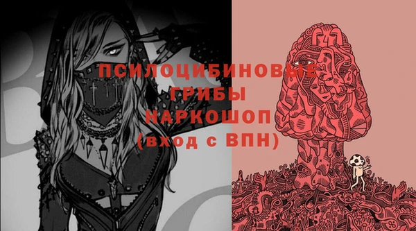 амф Балахна
