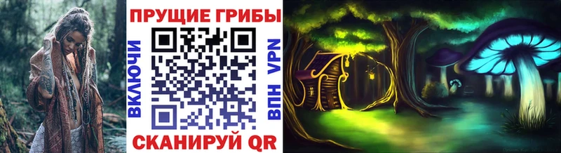 Галлюциногенные грибы GOLDEN TEACHER Белореченск