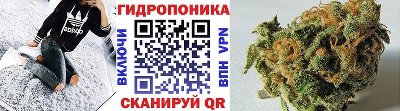 Шишки марихуана THC 21%  даркнет сайт  Белореченск 